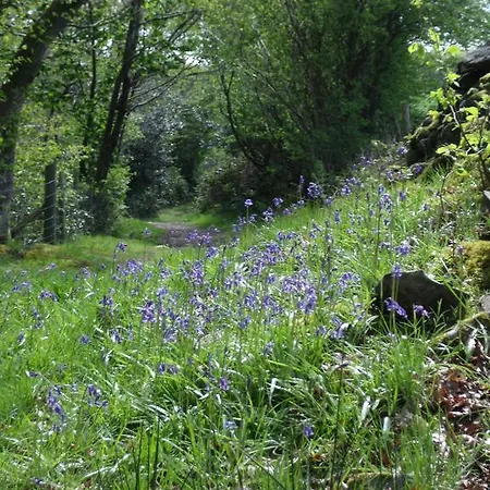 Wheelgate Bed & Breakfast