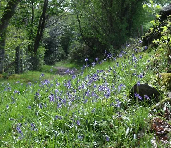 Wheelgate Bed & Breakfast